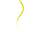 Vertigo Pole Fitness logo